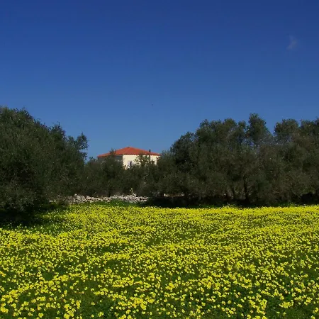 Daire Manolo S Olive Farm, With Seaview Hanya