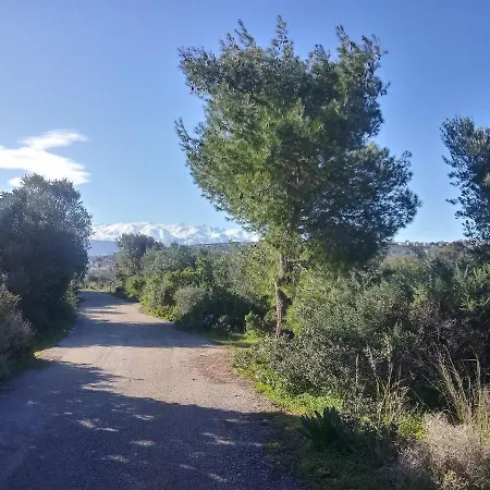 Daire Manolo S Olive Farm, With Seaview *