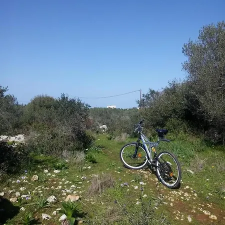 Manolo S Olive Farm, With Seaview Daire *