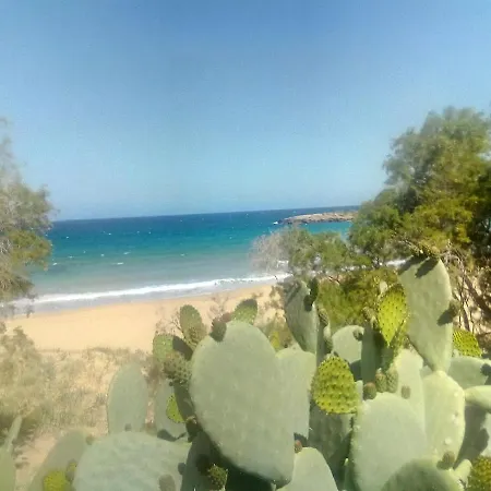 Daire Manolo S Olive Farm, With Seaview *